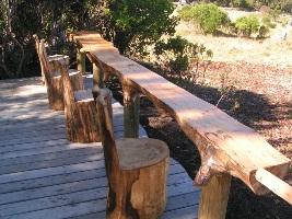 Log Stools.JPG