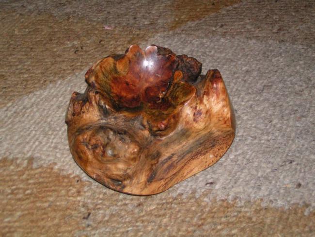 Root Bowl.jpg