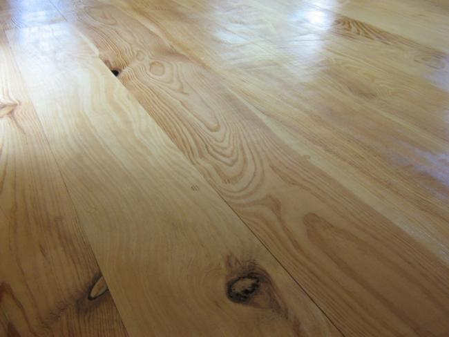 Stone Pine Close-Up View.JPG