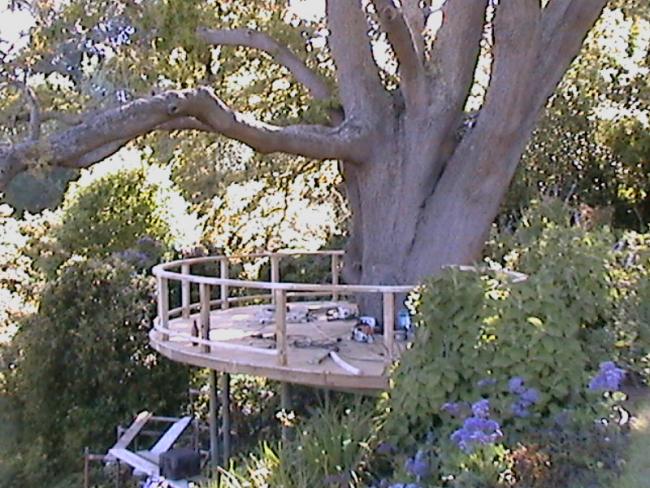 White Gum Decking.JPG