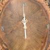 Cork Oak Clock.JPG
