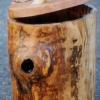 Poplar Bin.jpg