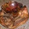 Root Bowl.jpg