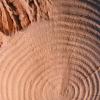 Sand Blasted Ball 3.jpg