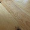 Stone Pine Close-Up View.JPG