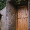 door_stable_1.jpg
