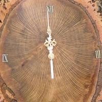 Cork Oak Clock.JPG