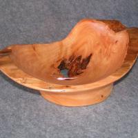 Cypress1.JPG
