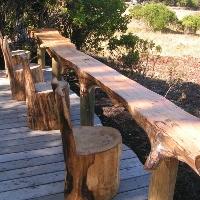 Log Stools.JPG
