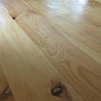Stone Pine Close-Up View.JPG