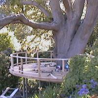 White Gum Decking.JPG